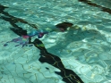 Meerjungfrauenschwimmen-059.jpg